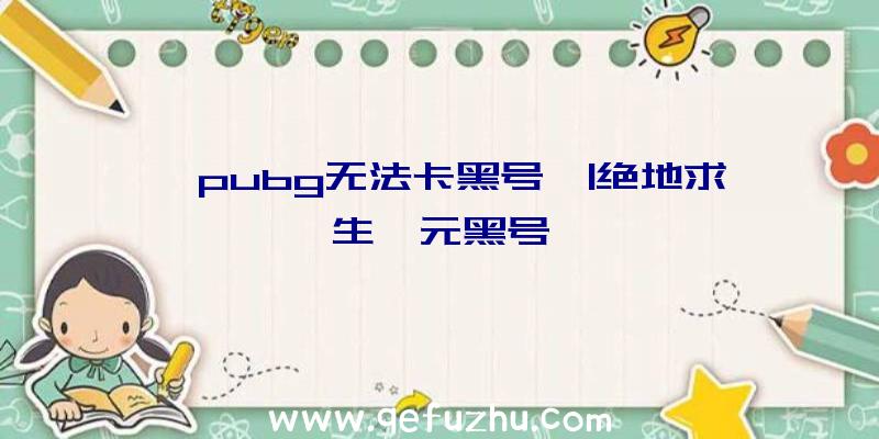 「pubg无法卡黑号」|绝地求生一元黑号